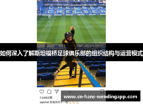 如何深入了解斯坦福桥足球俱乐部的组织结构与运营模式