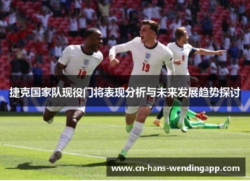 捷克国家队现役门将表现分析与未来发展趋势探讨