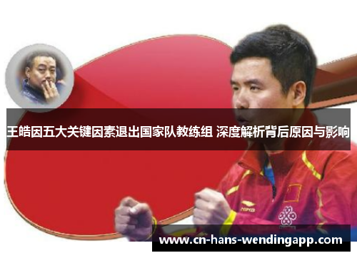 王皓因五大关键因素退出国家队教练组 深度解析背后原因与影响