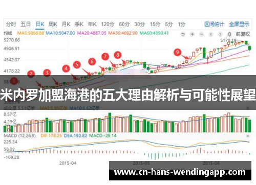 米内罗加盟海港的五大理由解析与可能性展望