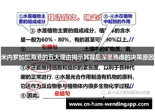 米内罗加盟海港的五大理由揭示其背后深思熟虑的决策原因