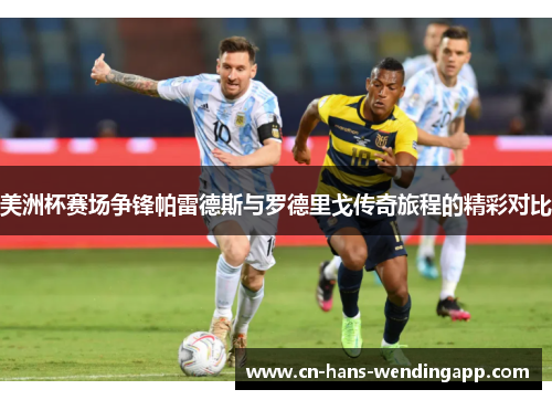 美洲杯赛场争锋帕雷德斯与罗德里戈传奇旅程的精彩对比