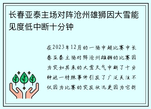 长春亚泰主场对阵沧州雄狮因大雪能见度低中断十分钟